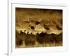 Flock of Snow Geese and Sandhill Cranes in Water and Ground Fog-Arthur Morris-Framed Photographic Print