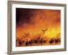 Flock of Snow Geese in Ground Fog, Bosque Del Apache National Wildlife Reserve, New Mexico, USA-Arthur Morris-Framed Photographic Print
