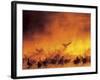 Flock of Snow Geese in Ground Fog, Bosque Del Apache National Wildlife Reserve, New Mexico, USA-Arthur Morris-Framed Photographic Print