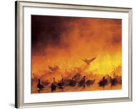 Flock of Snow Geese in Ground Fog, Bosque Del Apache National Wildlife Reserve, New Mexico, USA-Arthur Morris-Framed Photographic Print