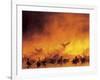 Flock of Snow Geese in Ground Fog, Bosque Del Apache National Wildlife Reserve, New Mexico, USA-Arthur Morris-Framed Photographic Print