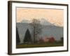 Flock of Snow Geese Take Flight, Mt. Baker and Cascades at Dawn, Fir Island, Washington, USA-Trish Drury-Framed Photographic Print