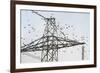 Flock of Starlings (Sturnus Vulgaris) Flying to Roost on Electricity Pylon-Terry Whittaker-Framed Photographic Print