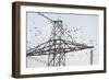 Flock of Starlings (Sturnus Vulgaris) Flying to Roost on Electricity Pylon-Terry Whittaker-Framed Photographic Print