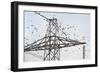 Flock of Starlings (Sturnus Vulgaris) Flying to Roost on Electricity Pylon-Terry Whittaker-Framed Photographic Print