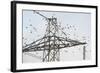 Flock of Starlings (Sturnus Vulgaris) Flying to Roost on Electricity Pylon-Terry Whittaker-Framed Photographic Print