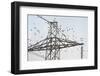 Flock of Starlings (Sturnus Vulgaris) Flying to Roost on Electricity Pylon-Terry Whittaker-Framed Photographic Print