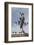 Flock of Starlings (Sturnus Vulgaris) Perched on Weather Vane, Chipping, Lancashire, England, UK-Ann & Steve Toon-Framed Photographic Print