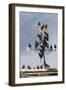 Flock of Starlings (Sturnus Vulgaris) Perched on Weather Vane, Chipping, Lancashire, England, UK-Ann & Steve Toon-Framed Photographic Print