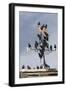 Flock of Starlings (Sturnus Vulgaris) Perched on Weather Vane, Chipping, Lancashire, England, UK-Ann & Steve Toon-Framed Photographic Print