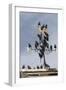 Flock of Starlings (Sturnus Vulgaris) Perched on Weather Vane, Chipping, Lancashire, England, UK-Ann & Steve Toon-Framed Photographic Print