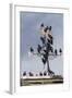 Flock of Starlings (Sturnus Vulgaris) Perched on Weather Vane, Chipping, Lancashire, England, UK-Ann & Steve Toon-Framed Photographic Print