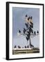 Flock of Starlings (Sturnus Vulgaris) Perched on Weather Vane, Chipping, Lancashire, England, UK-Ann & Steve Toon-Framed Photographic Print