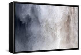 Flock of Swifts Flying to their Roost Behind the Curtain of Falling Water of Kaieteur Falls, Guyana-Mick Baines & Maren Reichelt-Framed Stretched Canvas