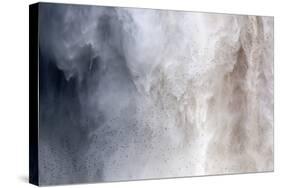 Flock of Swifts Flying to their Roost Behind the Curtain of Falling Water of Kaieteur Falls, Guyana-Mick Baines & Maren Reichelt-Stretched Canvas