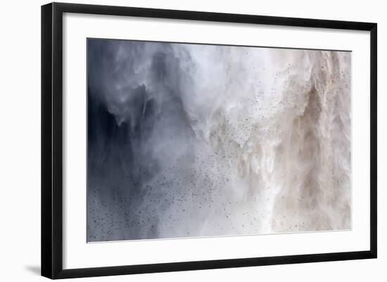 Flock of Swifts Flying to their Roost Behind the Curtain of Falling Water of Kaieteur Falls, Guyana-Mick Baines & Maren Reichelt-Framed Photographic Print