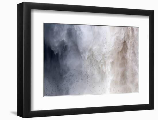 Flock of Swifts Flying to their Roost Behind the Curtain of Falling Water of Kaieteur Falls, Guyana-Mick Baines & Maren Reichelt-Framed Photographic Print