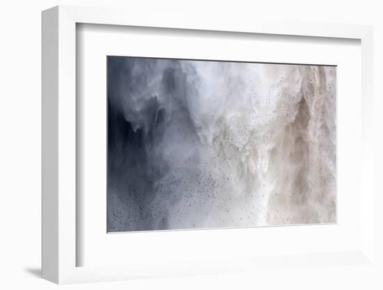 Flock of Swifts Flying to their Roost Behind the Curtain of Falling Water of Kaieteur Falls, Guyana-Mick Baines & Maren Reichelt-Framed Photographic Print