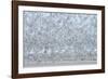 Flock of Terns-Arthur Morris-Framed Photographic Print