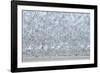 Flock of Terns-Arthur Morris-Framed Photographic Print