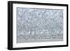 Flock of Terns-Arthur Morris-Framed Photographic Print