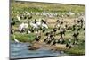 Flocks of Birds on the Kazinga Channel in Queen Elizabeth National Park, Uganda, Africa-Michael-Mounted Photographic Print