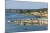 Flocks of Birds on the Kazinga Channel in Queen Elizabeth National Park-Michael-Mounted Photographic Print