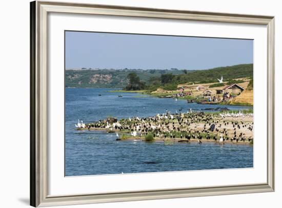 Flocks of Birds on the Kazinga Channel in Queen Elizabeth National Park-Michael-Framed Photographic Print