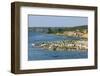 Flocks of Birds on the Kazinga Channel in Queen Elizabeth National Park-Michael-Framed Photographic Print