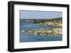 Flocks of Birds on the Kazinga Channel in Queen Elizabeth National Park-Michael-Framed Photographic Print