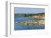 Flocks of Birds on the Kazinga Channel in Queen Elizabeth National Park-Michael-Framed Photographic Print