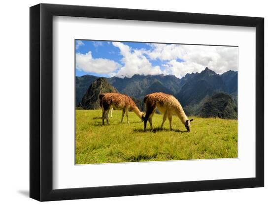 Premium Photographic Print, , large