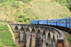 Train on Bridge in Hill Country of Sri Lanka-flocu-Framed Photographic Print