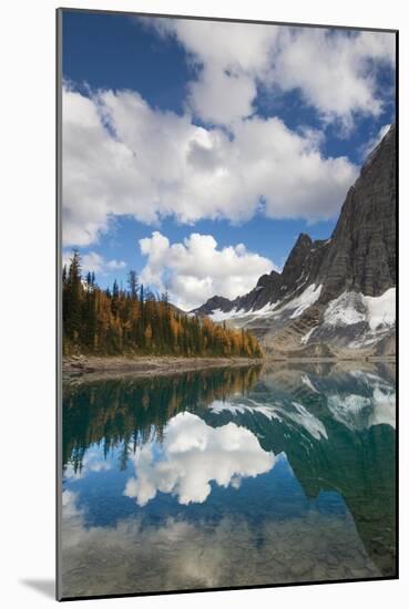 Floe Lake Reflection I-Alan Majchrowicz-Mounted Art Print