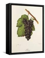 Flona Grape-J. Troncy-Framed Stretched Canvas