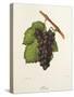 Flona Grape-J. Troncy-Stretched Canvas