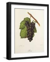 Flona Grape-J. Troncy-Framed Giclee Print