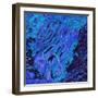 Flood, 2021 (digital)-Scott J. Davis-Framed Giclee Print