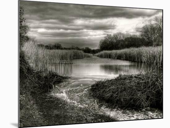 Flood Lines-Stephen Arens-Mounted Photographic Print