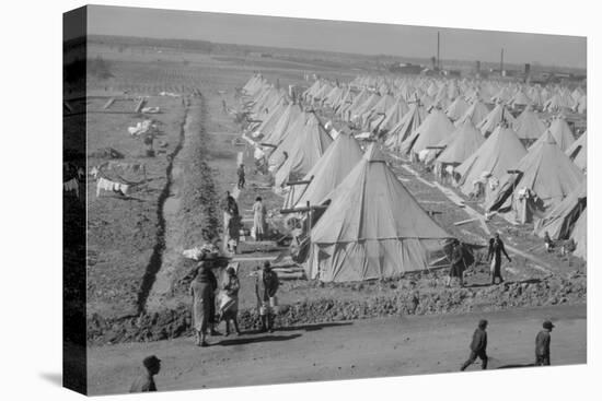 Flood refugee encampment at Forrest City, Arkansas, c.1937-Walker Evans-Stretched Canvas