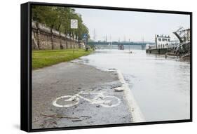 Flood.-Eunika-Framed Stretched Canvas