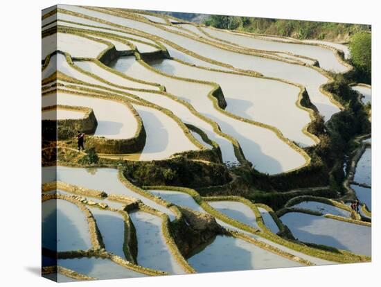 Flooded Bada Rice Terraces, Yuanyang County, Yunnan Province, China-Charles Crust-Stretched Canvas