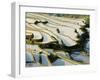 Flooded Bada Rice Terraces, Yuanyang County, Yunnan Province, China-Charles Crust-Framed Photographic Print