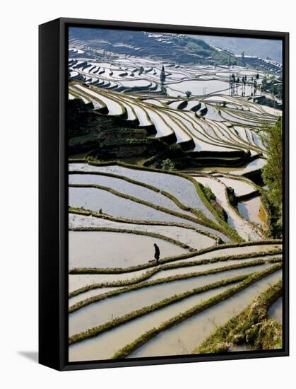 Flooded Bada Rice Terraces, Yuanyang County, Yunnan Province, China-Charles Crust-Framed Stretched Canvas