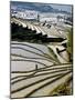 Flooded Bada Rice Terraces, Yuanyang County, Yunnan Province, China-Charles Crust-Mounted Photographic Print