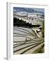 Flooded Bada Rice Terraces, Yuanyang County, Yunnan Province, China-Charles Crust-Framed Photographic Print