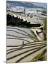 Flooded Bada Rice Terraces, Yuanyang County, Yunnan Province, China-Charles Crust-Mounted Photographic Print