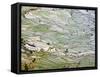 Flooded Laohu Zui Rice Terraces, Mengpin Village, Yuanyang County, Yunnan, China-Charles Crust-Framed Stretched Canvas