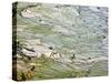 Flooded Laohu Zui Rice Terraces, Mengpin Village, Yuanyang County, Yunnan, China-Charles Crust-Stretched Canvas