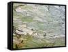 Flooded Laohu Zui Rice Terraces, Mengpin Village, Yuanyang County, Yunnan, China-Charles Crust-Framed Stretched Canvas